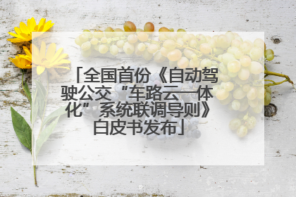 全国首份《自动驾驶公交“车路云一体化”系统联调导则》白皮书发布